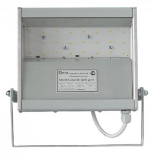 Светодиодный прожектор Omnis local 24 Купить Светодиодный прожектор Omnis local 24 в
