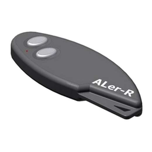 Брелок для Aler-R Купить Брелок для Aler-R в