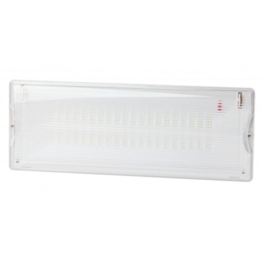 Аварийный светильник светодиодный ЭРА DPA-301-0-65 непостоянный 40LED 3ч IP65 Купить Аварийный светильник светодиодный ЭРА DPA-301-0-65 непостоянный 40LED 3ч IP65 в