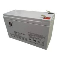 Купить Аккумулятор Sacred Sun SSP12-9 в 