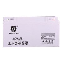 Купить Аккумулятор Sacred Sun SP12-65 в 