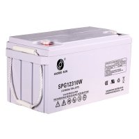 Купить Аккумулятор Sacred Sun SPG12310W в 
