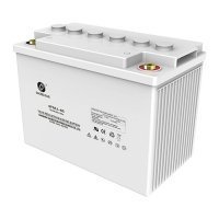 Купить Аккумулятор Sacred Sun 6FMJ-65 в 