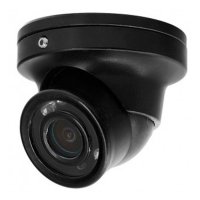 Купить Купольная видеокамера Proline PR-V616R Black в 