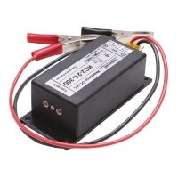 Купить Инвертор СибКонтакт ИС2-24-300 в 