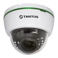 Купить Купольная AHD видеокамера Tantos TSc-Di1080pUVCv (2.8-12) в 