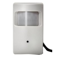 Купить Миниатюрная видеокамера Интэко ST-C33Q в 