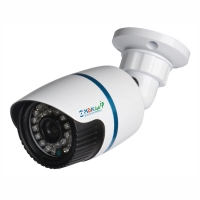 Купить Уличная IP-камера БайтЭрг МВК-LIP 1024 Street (3,6) в 