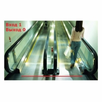 Macroscop Модуль "Подсчет посетителей" LS