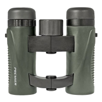 Купить Бинокль Hawke Premier 10x25 Green в 