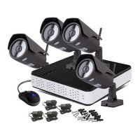 Купить Proline SET-IP4101W в 