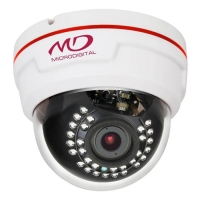 Купить Купольная IP камера Microdigital MDC-N7090WDN-30 в 