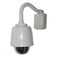 Купить Поворотная видеокамера Microdigital MDS-H309 в 