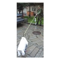 Купить Устройство для дистанционного воздействия  на взрывные устройства «ХОБОТ-ДВ» в 