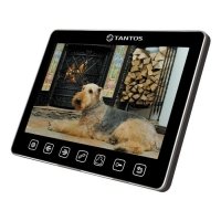 Купить Монитор Tantos Sherlock в 