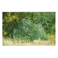 Купить Сеть маскировочная «КРОНА-54» в 