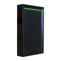 Купить PW-101 Plus Multi в 