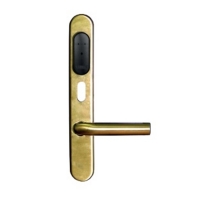 Купить Gate-IP-Lock (IP500) в Москве с доставкой по всей России