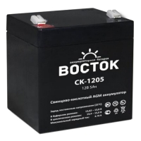 Купить Восток СК 1205 в 