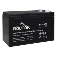 Купить Восток СК 1209 в 