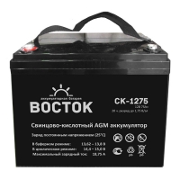 Купить Восток СК 1275 в 