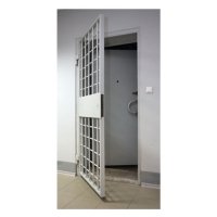 Купить Блок дверной решетчатый в 