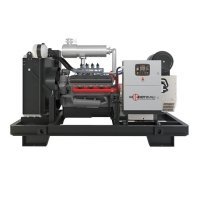 Купить Газовый генератор ФАС-100-3/Р в 