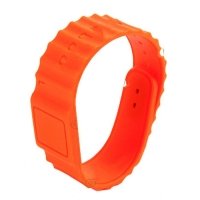 Купить Электронный браслет WS12 - EM-Marine в Москве с доставкой по всей России