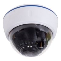 Купить Купольна IP видеокамера Rexant 45-0276 в Москве с доставкой по всей России