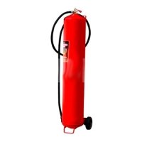 Купить Порошковый огнетушитель ОП-100 (з) АВСЕ в 