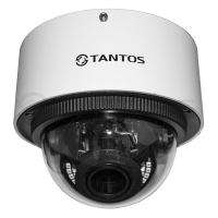 Купить Купольная IP-камера Tantos TSi-Vn425VPZ (2.8-12) в Москве с доставкой по всей России