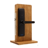 Купить Private Amaris FP Black в Москве с доставкой по всей России