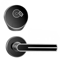 Купить Электронный замок Xeeder Palermo в Москве с доставкой по всей России