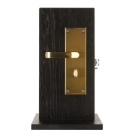 Электронный замок Xeeder Bali (золото)