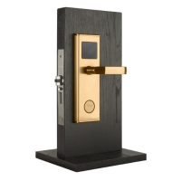 Купить Электронный замок Xeeder Bali (золото) в Москве с доставкой по всей России