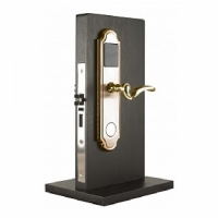 Купить Электронный замок Xeeder Vabbinfaru (золото) в Москве с доставкой по всей России