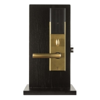 Сетевой электронный замок Xeeder Sailing (золото)