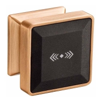 Купить Электронный замок для шкафчика IZ132 MIFARE в Москве с доставкой по всей России