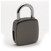 Навесной электронный замок P3 со сканером отпечатков пальца