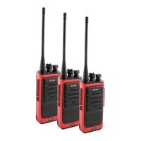 Купить Комплект раций СОЮЗ-2х3 красный в 