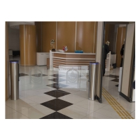 Калитка Came WING GL 001PSWNG4GL1