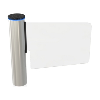 Купить Калитка Came WING GL 001PSWNG4GLA1 в 