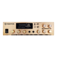 Купить Трансляционный усилитель Tantos TSo-AA30M в 