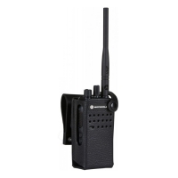 Купить Motorola PMLN5868 в Москве с доставкой по всей России