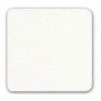 Купить Антикражная Этикетка 30х30мм PRO белая в 