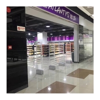 Акустомагнитные ворота AM6808