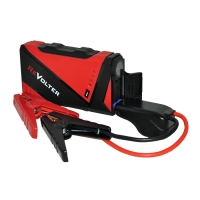 Купить Revolter Tiger в 