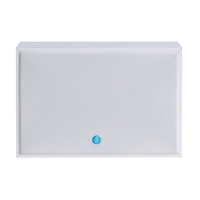 Купить Настенный громкоговоритель SW-4106 в 