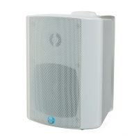 Купить Настенный громкоговоритель SW-5130 в 