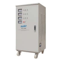 Купить RUCELF SDV-3-20000 в 